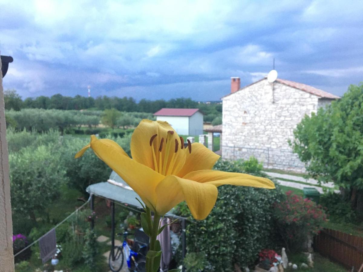 Appartment Hacienda Monica Умаг Екстериор снимка